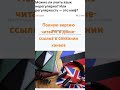 Нужна ли регулярность в изучении языка?#английский #английскийонлайн #итальянскийонлайн