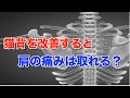 【猫背改善】猫背を改善すると肩の痛みは取れるのか？肩甲骨の動きについて【姿勢矯正】