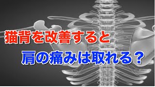 【猫背改善】猫背を改善すると肩の痛みは取れるのか？肩甲骨の動きについて【姿勢矯正】