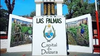 Recorriendo Las Palmas 🌴 Chaco 💚