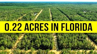 Land For Sale: 0.22 Acres in Putnam County, FL (Owner Financing Available)