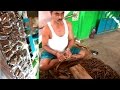 Country cigars making  raw tobacco cigars making hands in village  the art of country cigar