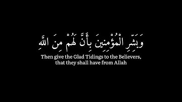 (و بشر المؤمنين بأنَّ لهم من الله فضلاً) كرومات قران شاشة سوداء - سورة الأحزاب - الشيخ ماهر المعيقلي