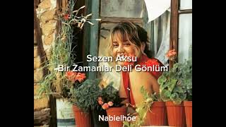 Sezen Aksu - Bir Zamanlar Deli Gönlüm (Speed up) Resimi