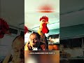 En este mundo solo gobiernan los pollos.😳🐓 #shorts #movie