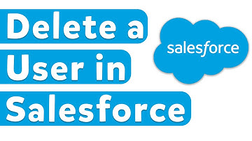 How to Delete User in Salesforce