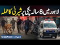 Lion Attack in Lahore: 8 Year Old Girl Attacked by a Lioness in Lahore Bhikhewala Village