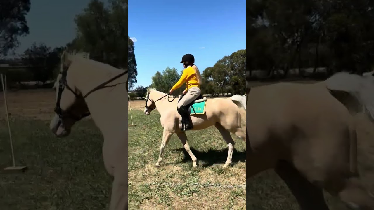 Riding raws!! With Rosie, Roscoe and Whiskey. 