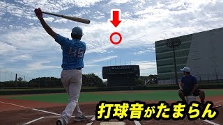 【爽快感MAX】メープルバットの打球音が気持ちよすぎる