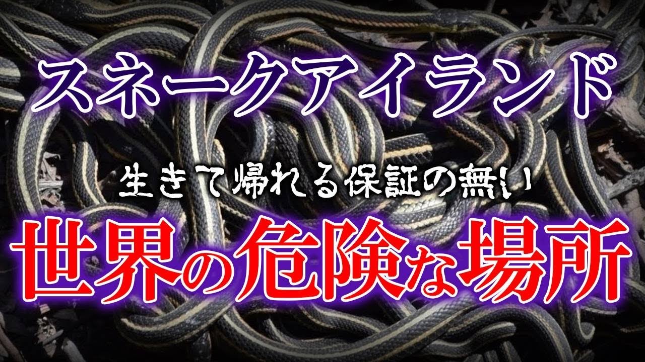 スネークアイランド 生きて帰れる保証の無い世界の危険な場所 Youtube