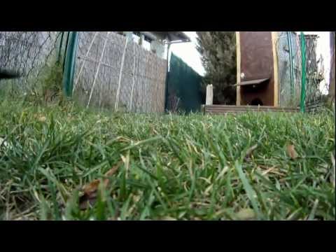 DJI f450 GoPro