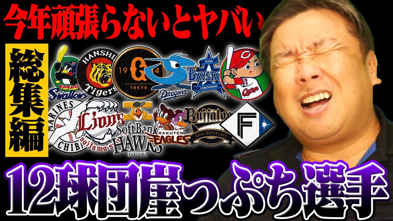 【作業用・睡眠用・聞き流し】里崎が考える2025年各球団崖っぷち選手＜総集編＞