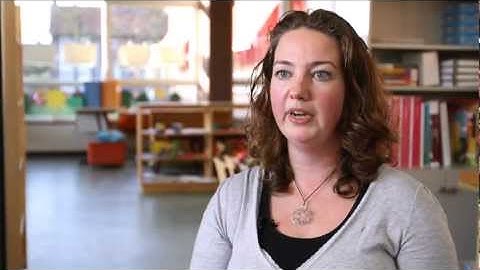 Computerprogramma LOVS: Categorieënanalyse (leerling)