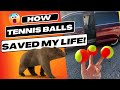 How tennis balls saved my life while minivan camping in bear country
