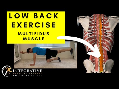 BEST Low Back exercise: strengthen your multifidus