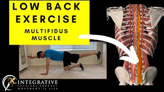 Why Your Back Pain Gets WORSE Without This | Multifidus Activation
