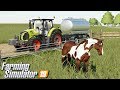 Rozpoczynam hodowlę koni - Farming Simulator 19 | #9