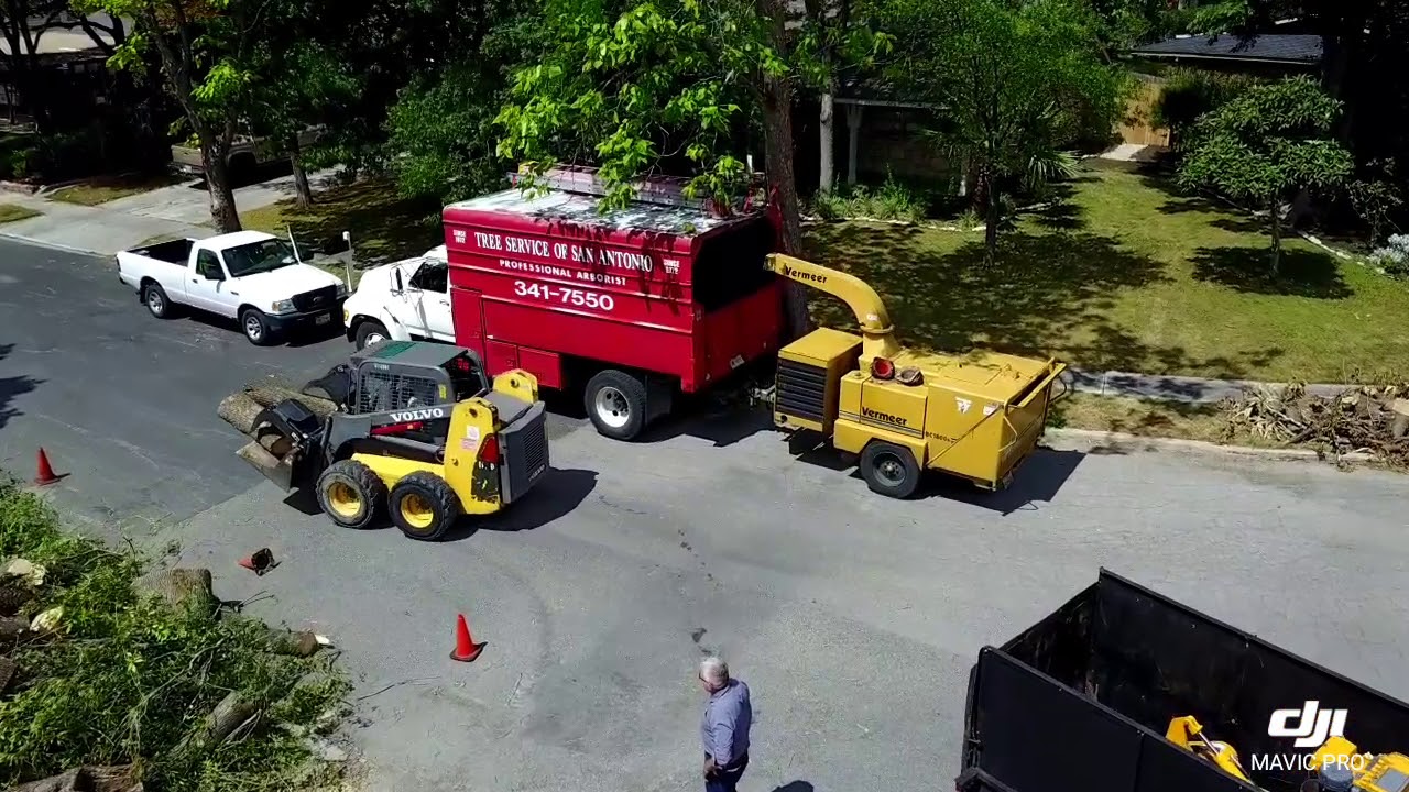 The Stump Guy|Best Stump Removal in San Antonio Texas|