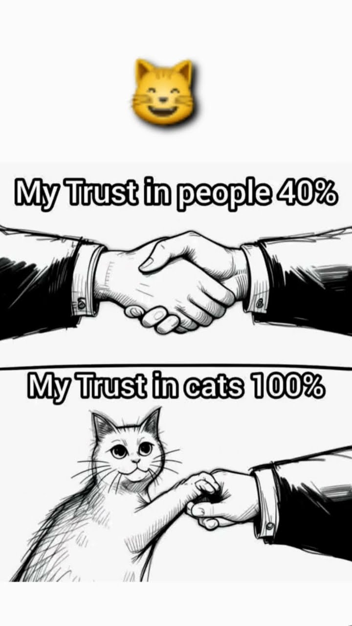 Quelqu'un qui aime les chats ne peut jamais être méchant ??