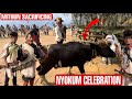 Mithun Sacrifice Ritual At Nyobia Nyokum 2026 Kurung Kumey Arunachal Pradesh