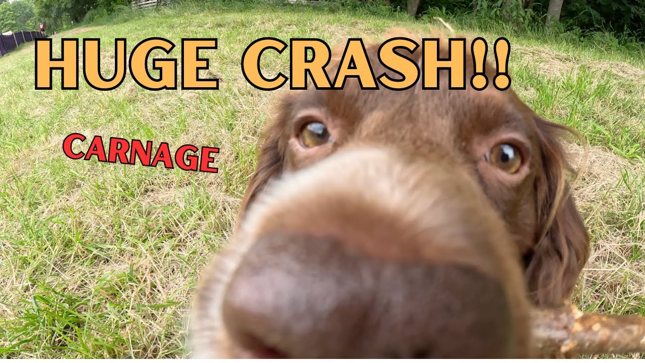 VAL DI SOLE QUALI DISASTER