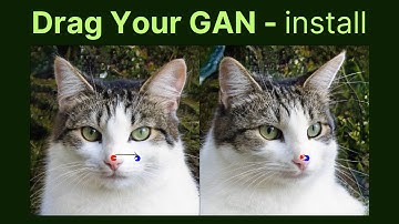 drag your gan | ai | installation | step by step | local | colab