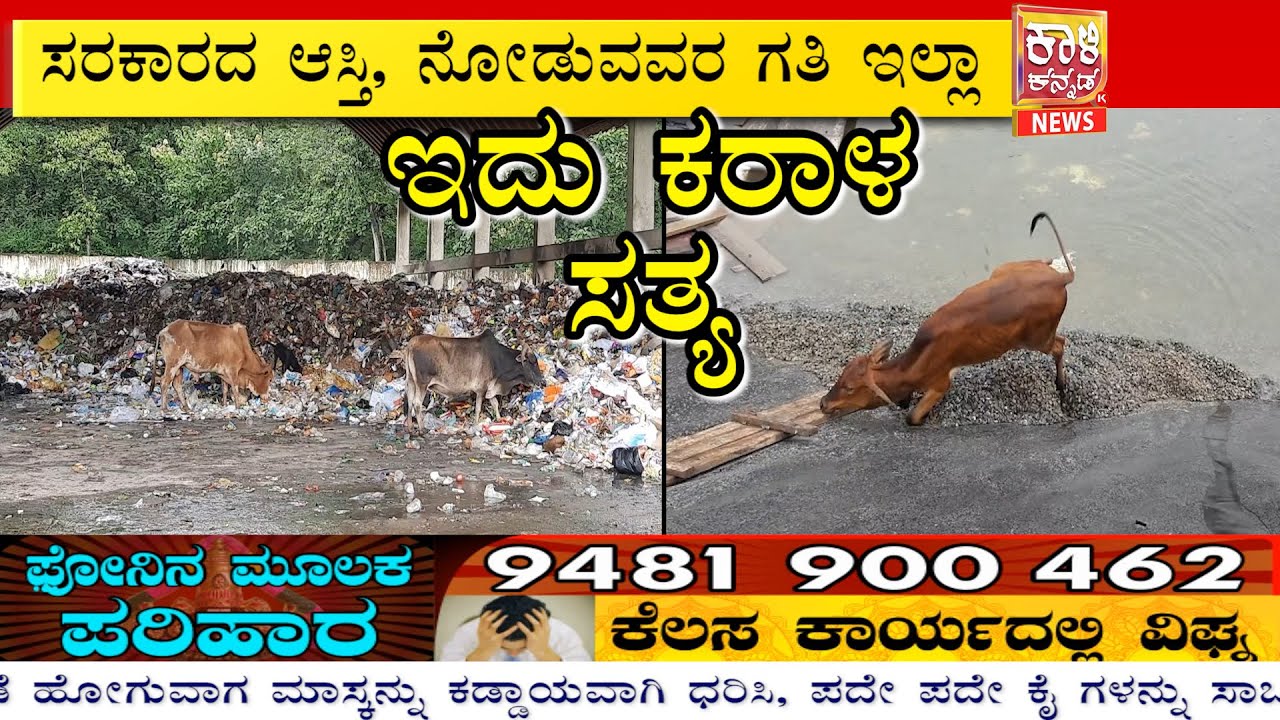 Truth Of  Dandeli Waste Dump Yard  | 3rd Eye open on 3rd Wave | KN News Dandeli  05 08 2021
