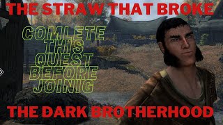 SKYRIM: The Straw That Broke