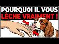 Votre chien vous lèche ? Voici ce que cela signifie VRAIMENT (vous serez surpris)