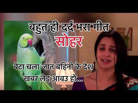 #sohar geet-बहुत ही मार्मिक गीत॥बेटा चला जात बहिनी के देश खबर लेइ आवउ हो॥#lokgeet #sohargeet