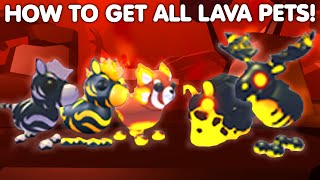 HOW TO GET ALL 5 LAVA PETS IN ADOPT ME EXPLAINED ZEBRA BAITS MUST WATCH ROBLOX