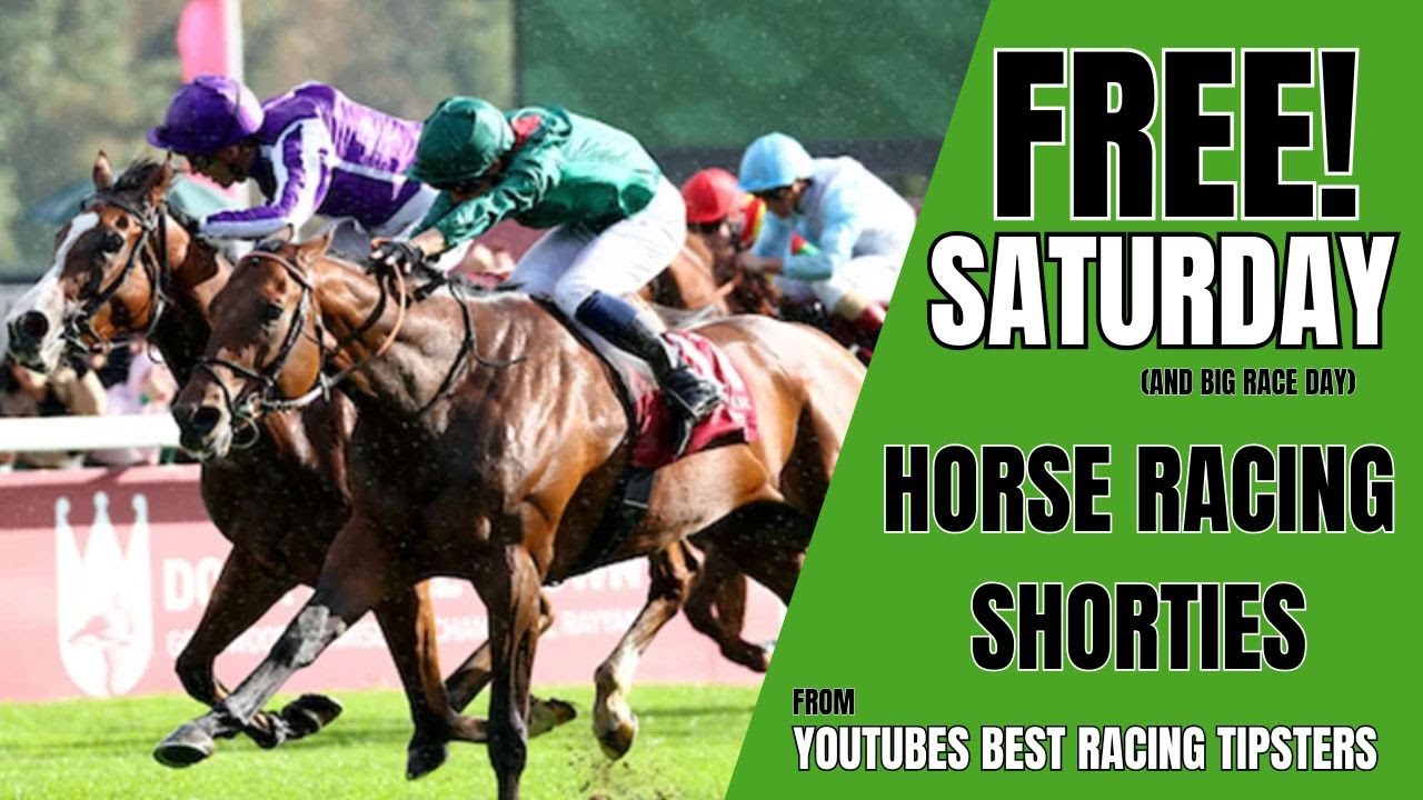 YOU TUBES BEST HORSE RACING TIPSTERS with tips for tomorrows Sat 10th ...