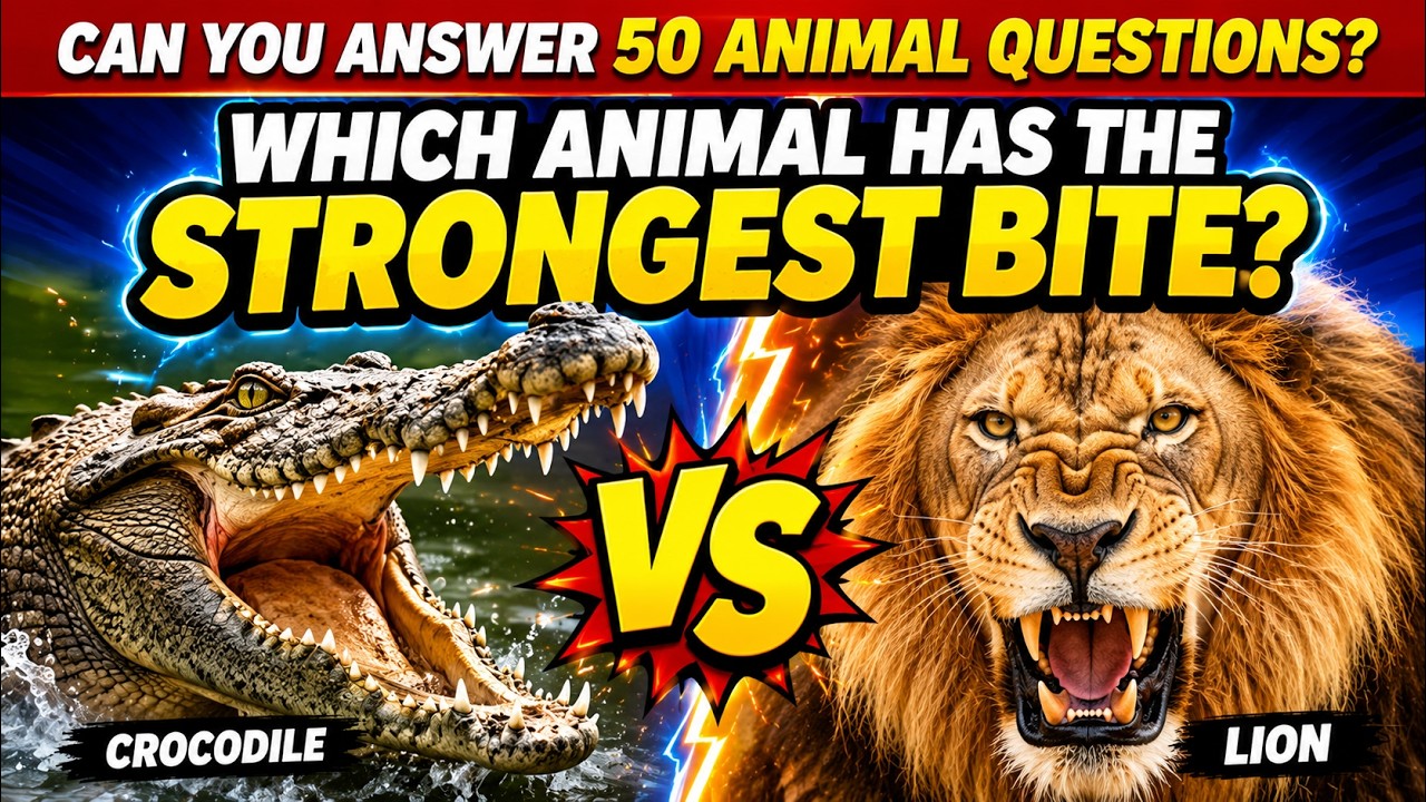 Animal Trivia Quiz 🐾 🤔 50 Animal Trivia Questions and Answers in 3 ...
