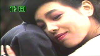 午夜情 （音樂）劉美君