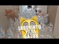 OTRO CANAL DE GATOS | Hizo un laberinto para sus gatos