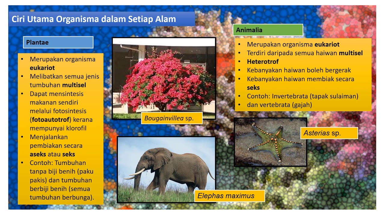 BAB 8 1 BIOLOGI TINGKATAN 5  YouTube