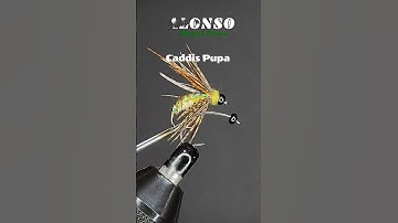 Fly tying Caddis Pupa