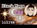 Lilith In Virgo/Lilith in House 6