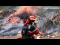 Trailer largo _ Documental de Incendios Forestales: Conviviendo con el fuego