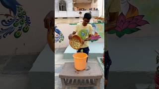 Summers best fertiliser for plants . Watermelon peel fertiliser