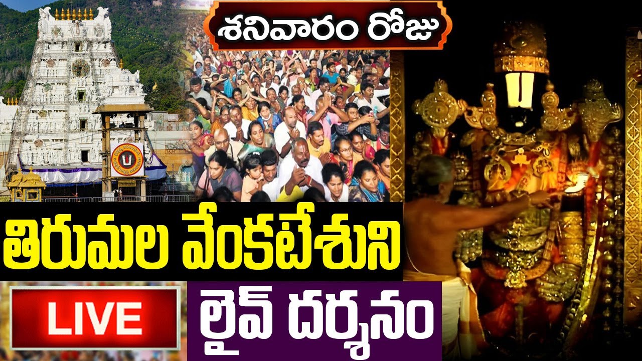 LIVE : శనివారం రోజున శ్రీ వారి  లైవ్ దర్శనం | Sri Venkateswara Swamy Live Darshanam