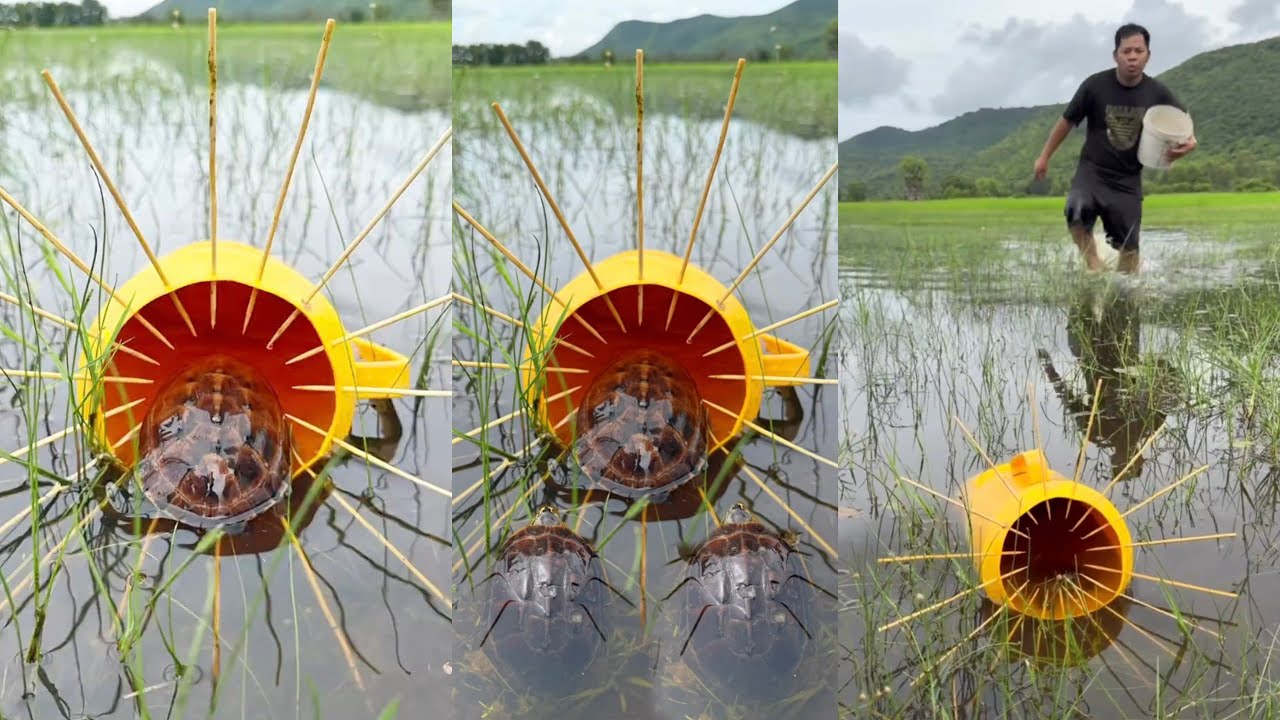 Survival Skills: SMART idea andUSEFUL in Forest 