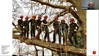 Working Together for Wildlife 2 - A Webinar for our local Parish Councils and Communities