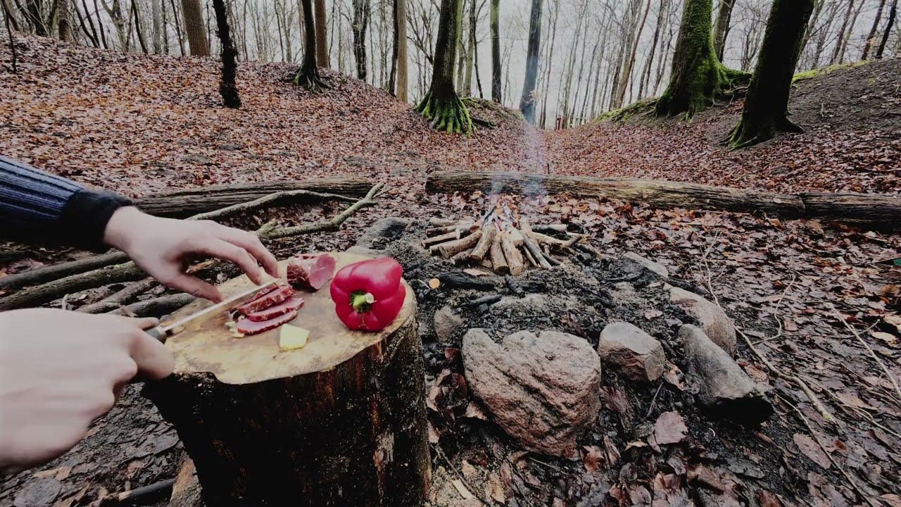 Bushcraft Survival – No Tent Camping, Fire Skills & Outdoor Cooking - full version