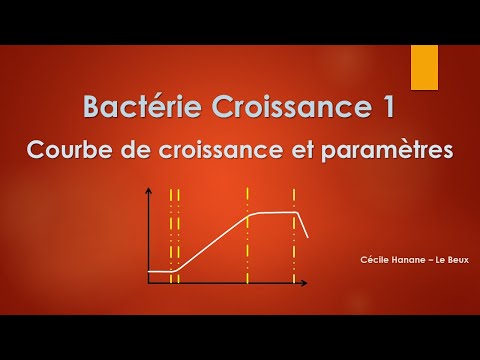 Vidéo: Quelles sont les phases des bactéries ?