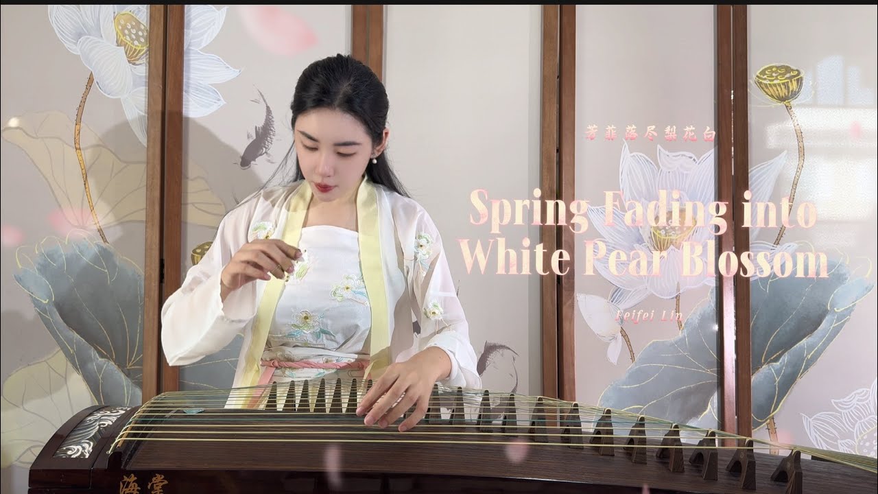 Spring Fading into White Pear Blossom芳菲落尽梨花白 | Guzheng by Feifei Lin Spring Fading into White Pear Blossom芳菲落尽梨花白 | Guzheng by Feifei Lin