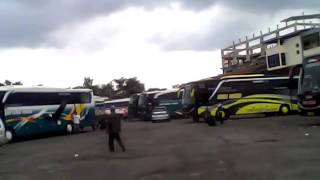 Download Lagu Klakson telolet di terminal gemolong rek ayo rek dan kucing garong MP3