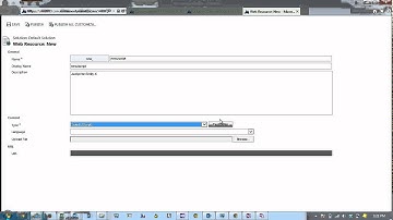 Introduction to CRM 2013 Web Resources