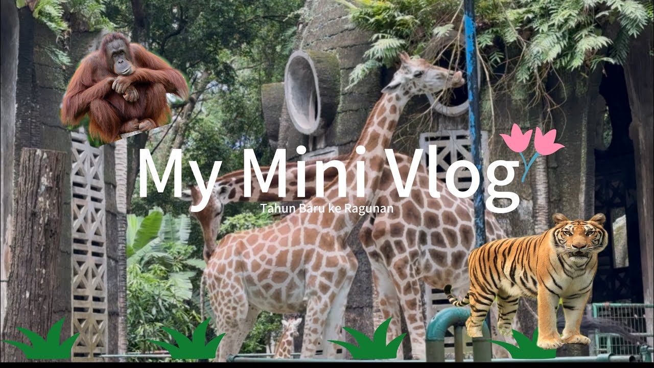 Mini Vlog | Tahun Baru 2026 diawali dengan berlibur ke Ragunan