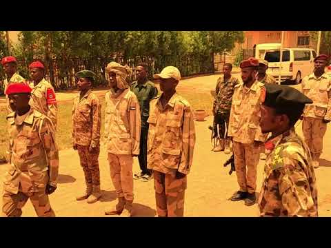 التحالف السوداني جبهة كفاح السودانية